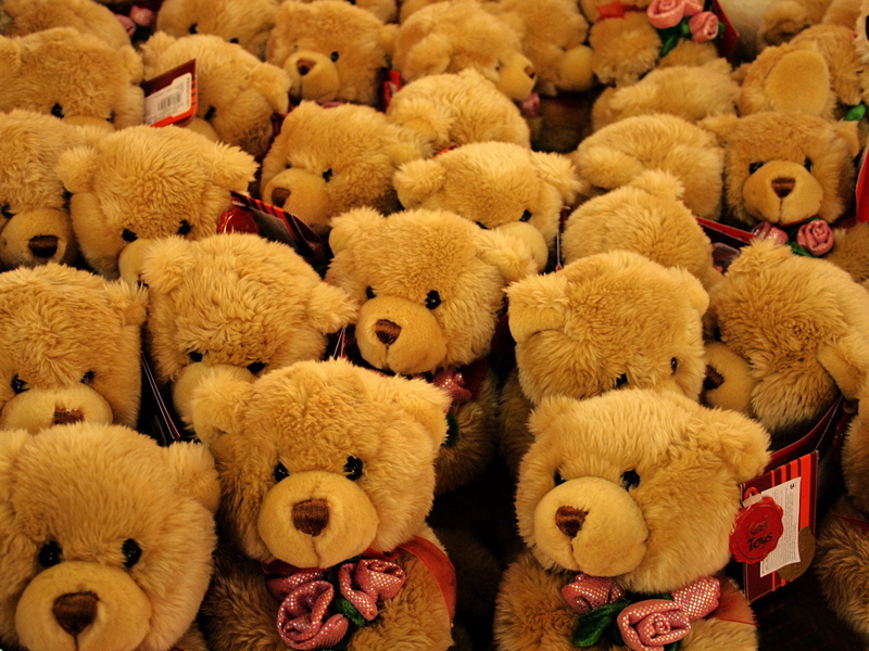 full frame, animal, backgrounds, teddy Bear, fur, collection, fluffy, childhood, animal representation, roses, toy, still life, variation, lot, bears, abundance
