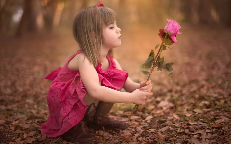 beauty in nature, full screen, outdoors, s, childhood, flower, hairstyle, girl, dress, widescreen, nature, females, innocence, flower head, focus on foreground