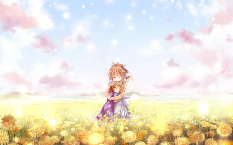 Ushio Okazaki, Clannad, sky, adult, 1080P, anime, flowering plant, plant, women, hair, sunset, nature, rear view, cloud - sky, outdoors, flower