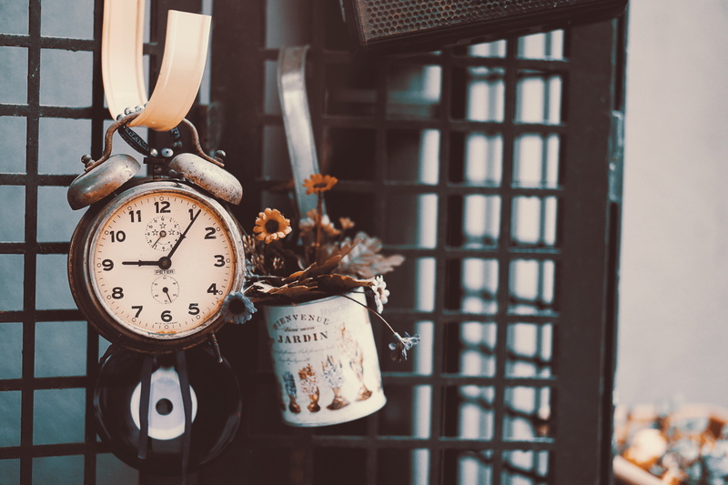 bird, 5K, day, concepts, pattern, timer, focus on foreground, backgrounds, indoors, clock, still life, close-up, no People, metal, old, animal representation
