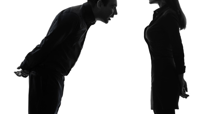 studio Shot, business, females, young Adult, sleeved, mini, standing, long, isolated, caucasian Ethnicity, profile View, two People, shirt, aggression
