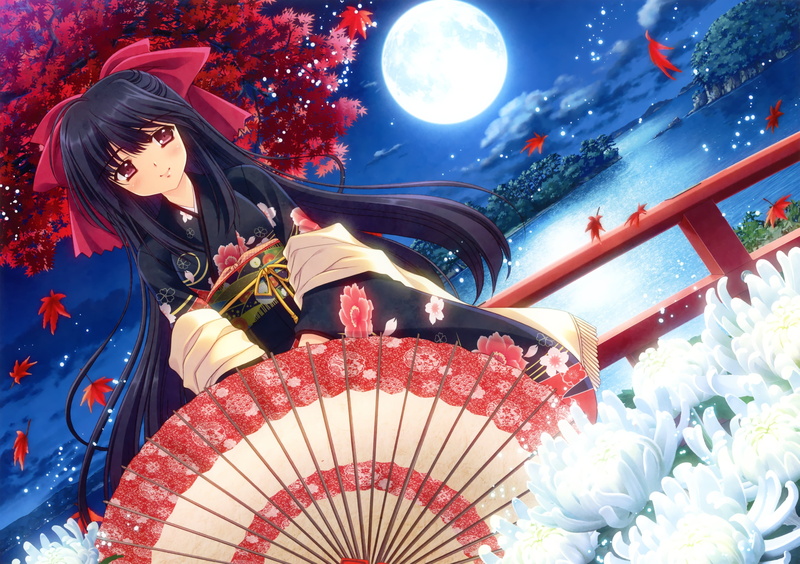 beautiful, smiling, cultures, one Person, women, females, young Adult, anime, transportation, haired, day, flower, adult, east Asian Culture, casual clothing