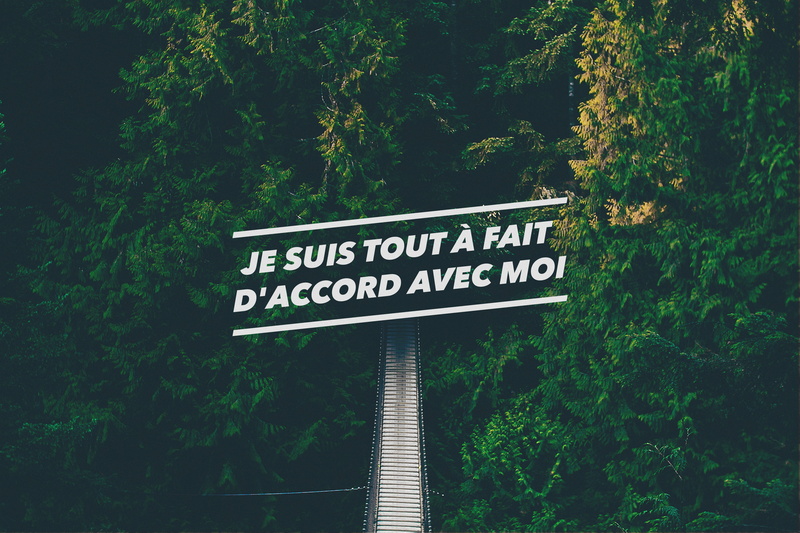 day, western script, information sign, quote, low angle view, bridge, French, forest, green color, green, nature, 4K, lush foliage, information, text