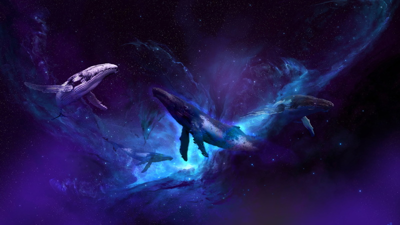 universe, whale, 1080P