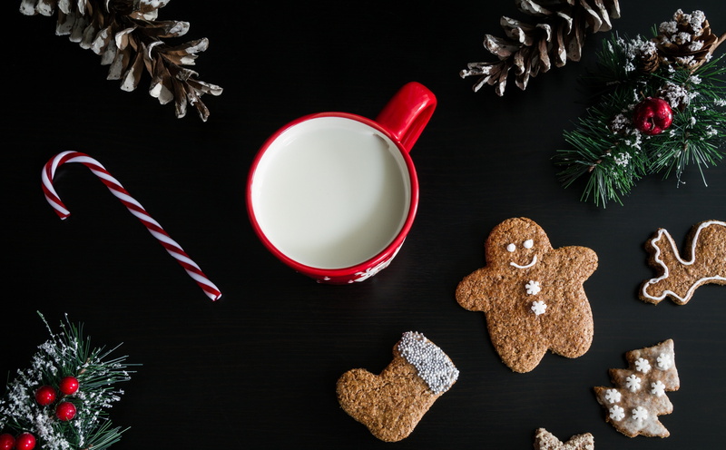 gingerbreadstar, drink, delicious, beverage, Xmas, Milk, redmug, MilkMug, GingerbreadMan, Food, Shapes, Christmas, HotMilk, cookies, gingerbreadtree, 2017