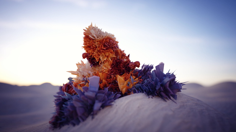 day, plant, gemstone, sunset, beauty in nature, poly, purple, inflorescence, sky, freshness, flower, orange, pollen, outdoors, nature, no people, growth