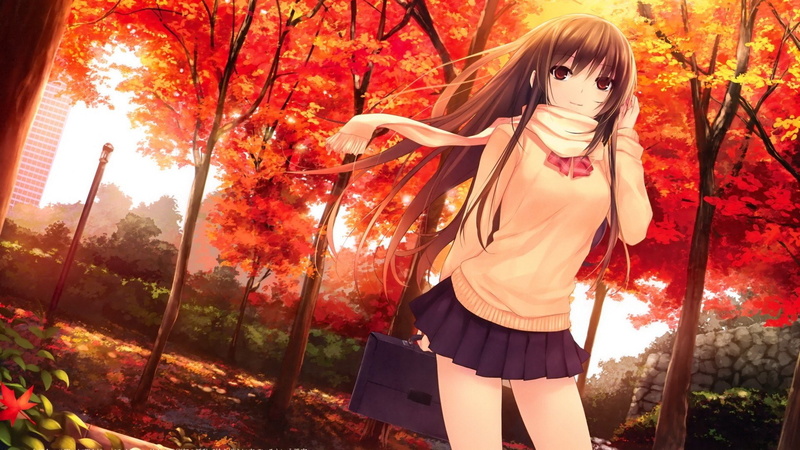coffee kizoku, 1080P, anime, girls