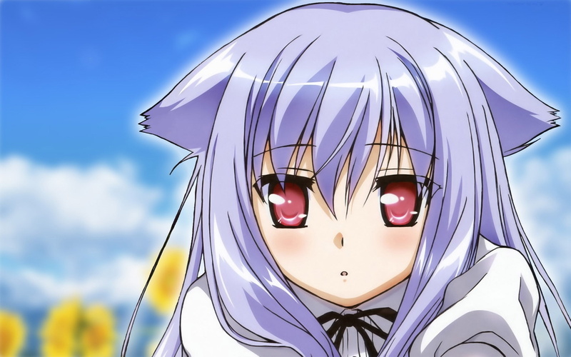 craft, outdoors, focus on foreground, day, creativity, no people, nekomimi, low angle view, anime, sky, 1080P, mask, blue, built structure, representation