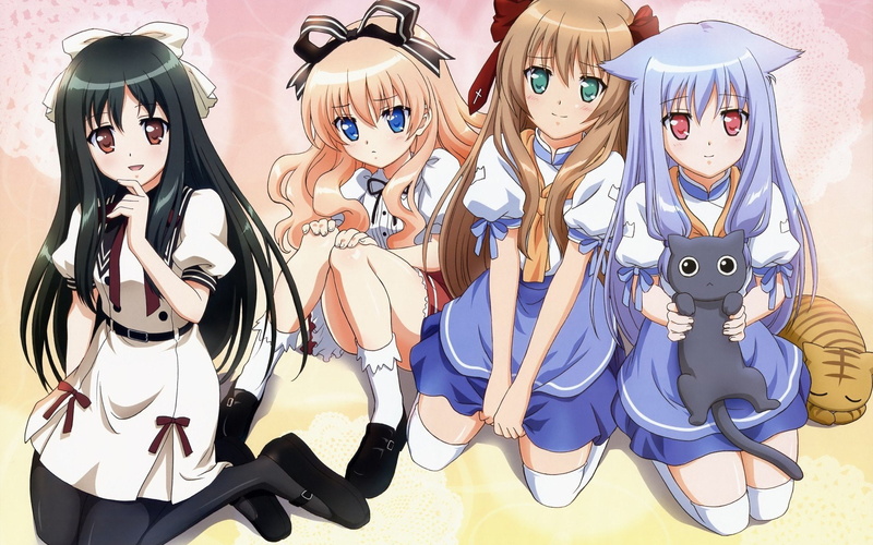 chise, fumino, umenomori, kiriya, ears, serizawa, nozomi, 1080P, anime, mayoi, animal, overrun, neko