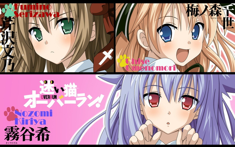 chise, fumino, nozomi, umenomori, mayoi, 1080P, kiriya, serizawa, neko, overrun