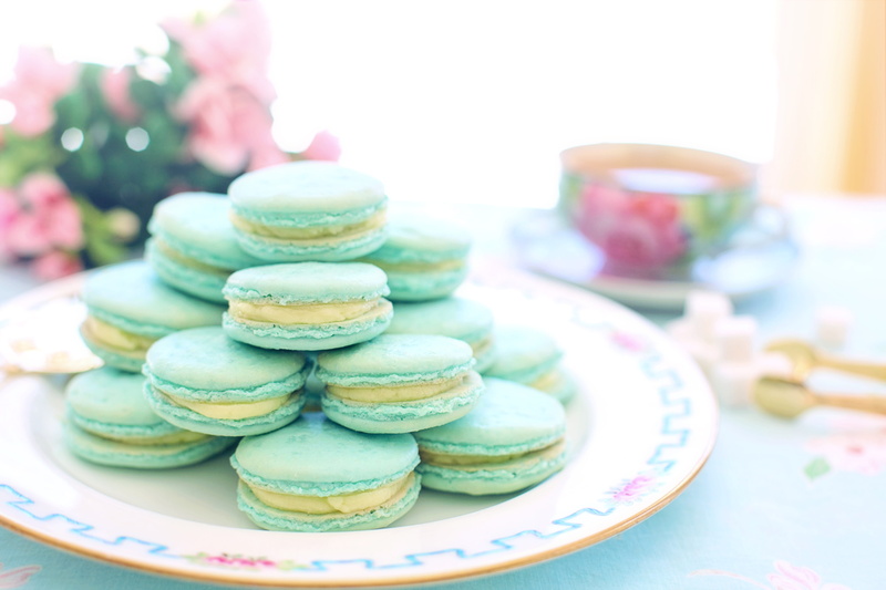 treat, aqua, still life, freshness, focus on foreground, selective focus, ready-to-eat, plate, indulgence, pink, food and drink, nibble, snack, close-up