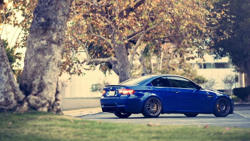 motor vehicle, plant, nature, tree, trunk, road, transportation, car, 1080P, tree trunk, selective focus, focus on foreground, BMW, BMW E92 M3, park, mode of transportation