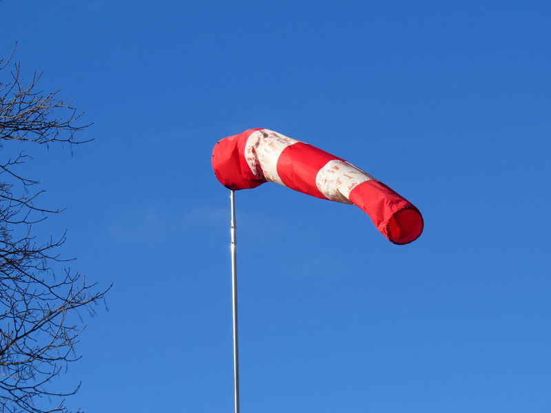 wind direction, plant, weathervane, indicator, fabric, symbol, nature, wind direction sensor, low angle view, orientation, south wind, no people, rescue