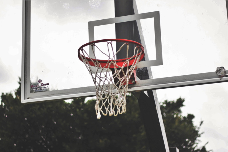 leisure activity, competitive Sport, slam Dunk, nature, shape, sport, competition, no People, recreational Pursuit, low angle view, tree, focus on foreground