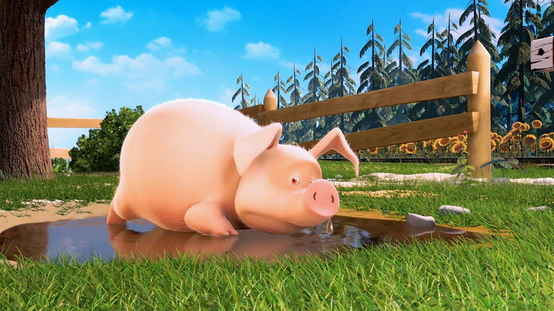 1080P, masha, and, cartoons, the, bear