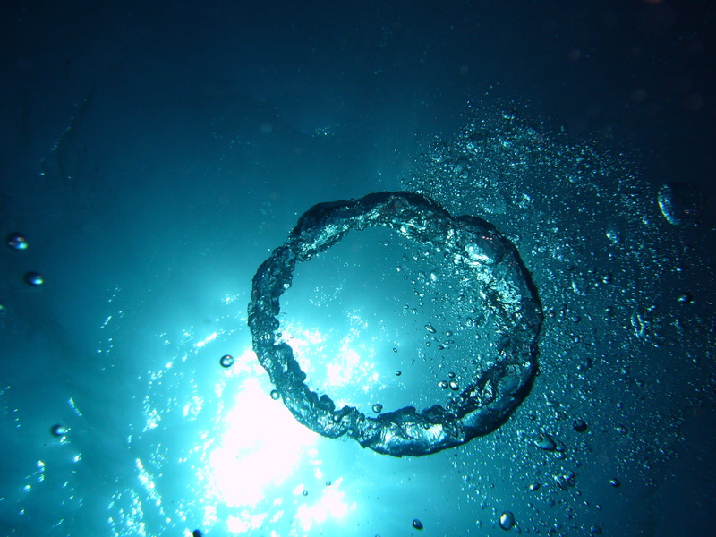 oxygen, blow, water, studio shot, close-up, air, shape, underwater, sea, circle, vulnerability, mid-air, undersea, purity, no people, blue, soap sud, ring