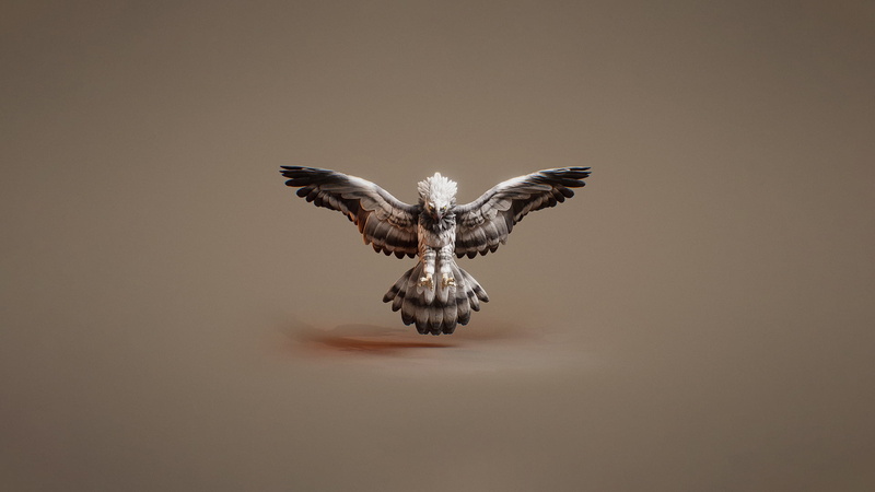 sculpt, CGI, wings, 3D graphics, 1080P, birds, onslaught, fantasy art