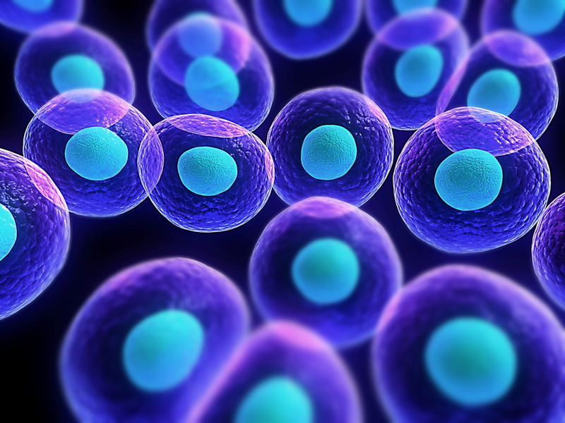 science, cells, 2K, biology