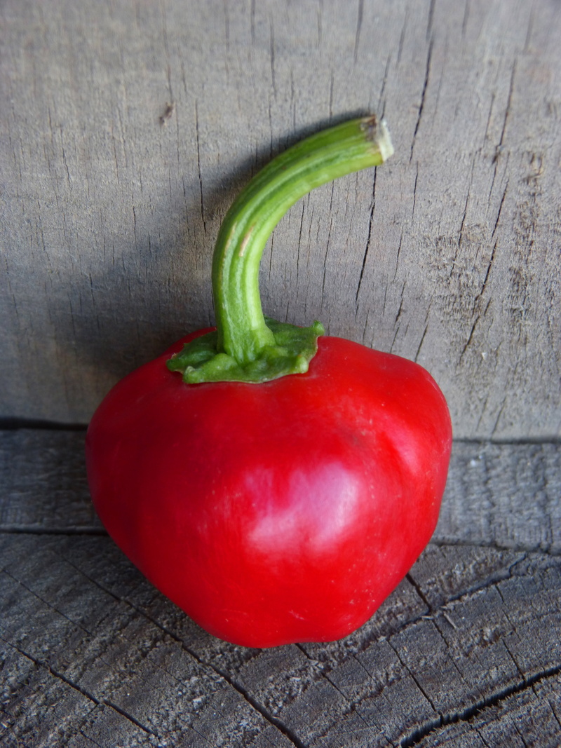 raw food, high angle view, vegetable, wood - material, red pepper, close-up, red bell pepper, freshness, healthy eating, food, no people, vegetarian food