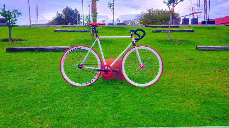 green color, plant, road, park, white, outdoors, stationary, bike, 2K, day, growth, fixie, park - man made space, tree, field, no people, land vehicle