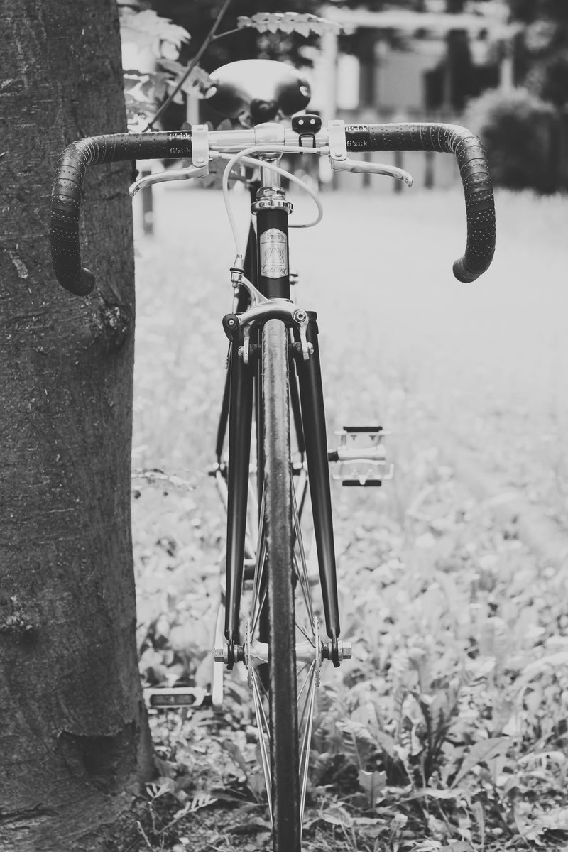 land vehicle, germany, plant, wheel, fuji, fuji feather, day, city bike, fixie, close-up, pedals, tree, field, transportation, break, sunlight, bicycle