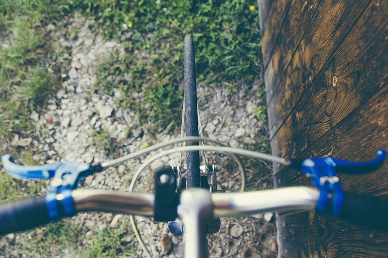 sport bike, hipster, style, high angle view, bike, handle, close-up, wheel, 80, selective focus, tree, steel, old, 5K, road bike, mode of transportation