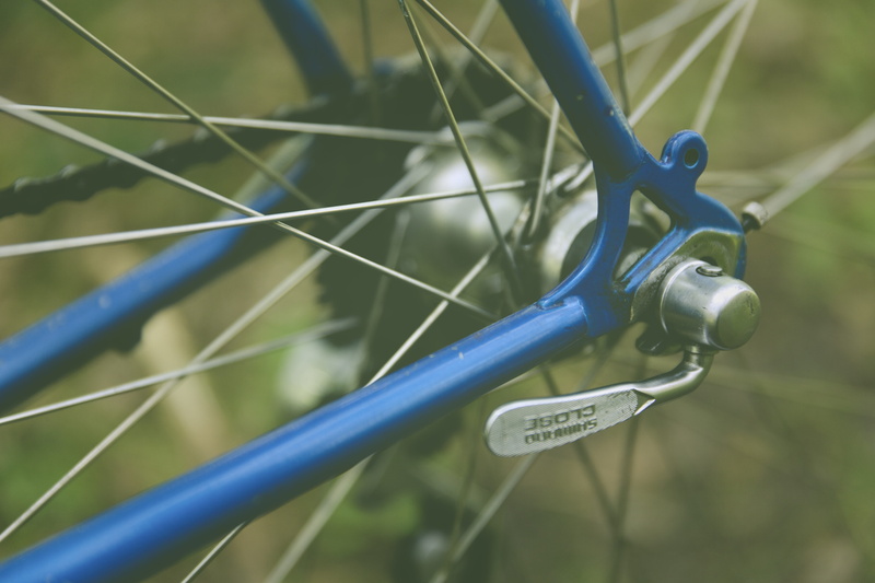 racing, stylish, sunlight, metal, day, wheel, trend, steel frame, 80, outdoors, plant, road, cycling, steel, locomotion, close-up, vintage, fixed gear