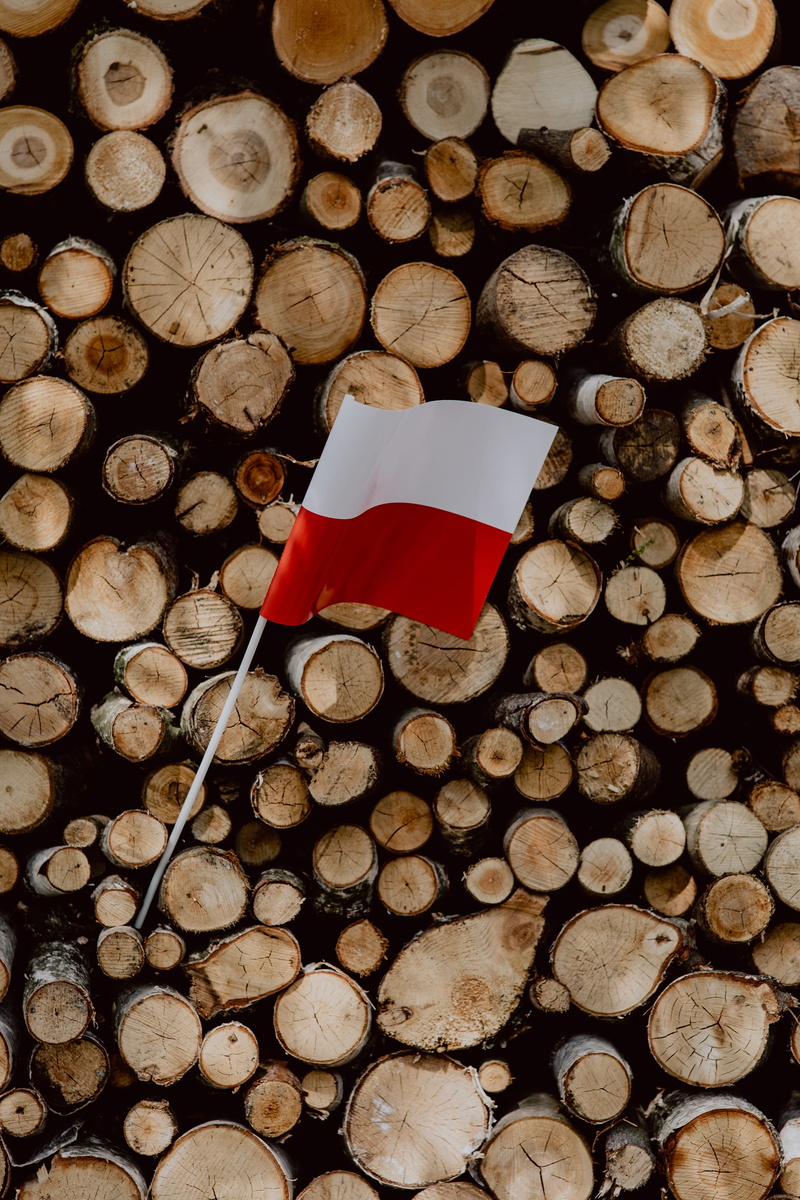 fuel and power generation, wood - material, flag, full frame, 4K, lumber industry, red, independence, deforestation, shape, tree, wood, national, log