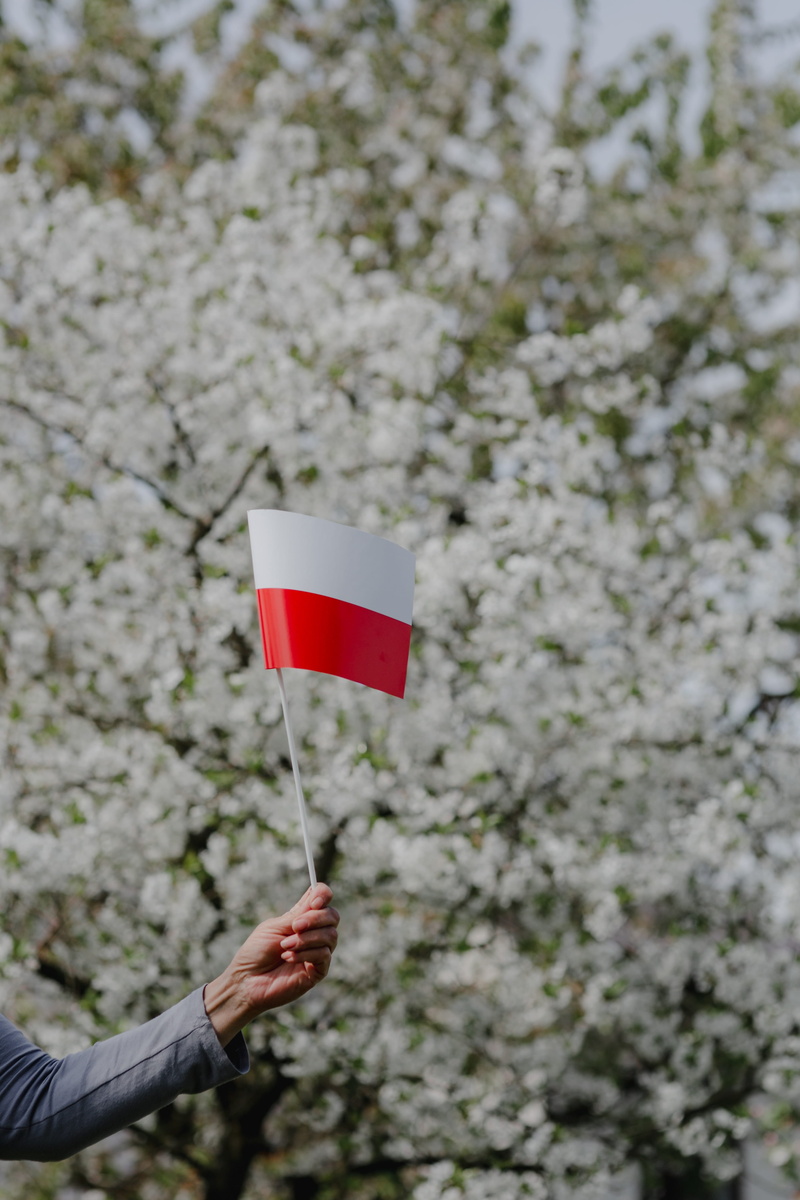 hand, freshness, finger, flaga, human limb, human body part, lifestyles, holding, pole, flag, Europe, tree, outdoors, body part, focus on foreground, national