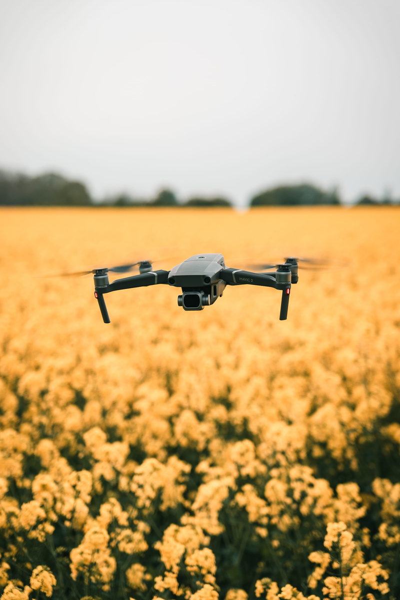 helicopter, plant, droning, gear, weaponry, mavic, field, landscape, 4K, photography, flowers, sky, nature, outdoors, day, environment, farm, flowering plant