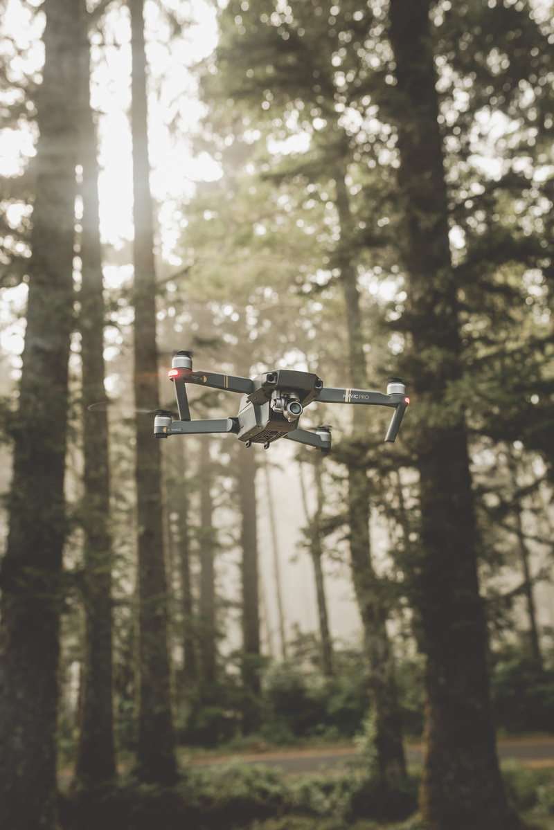outdoors, color Image, helicopter, fly, daytime, equipment, surveillance, remote controlled, sky, camera - Photographic Equipment, flying, black, air, woodland