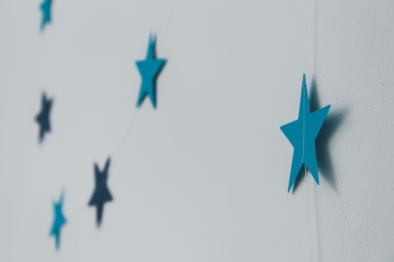 leisure activities, animal, flag, kite, star shape, wand, representation, aircraft, warplane, star symbol, flight, adventure, decors, studio shot, shape