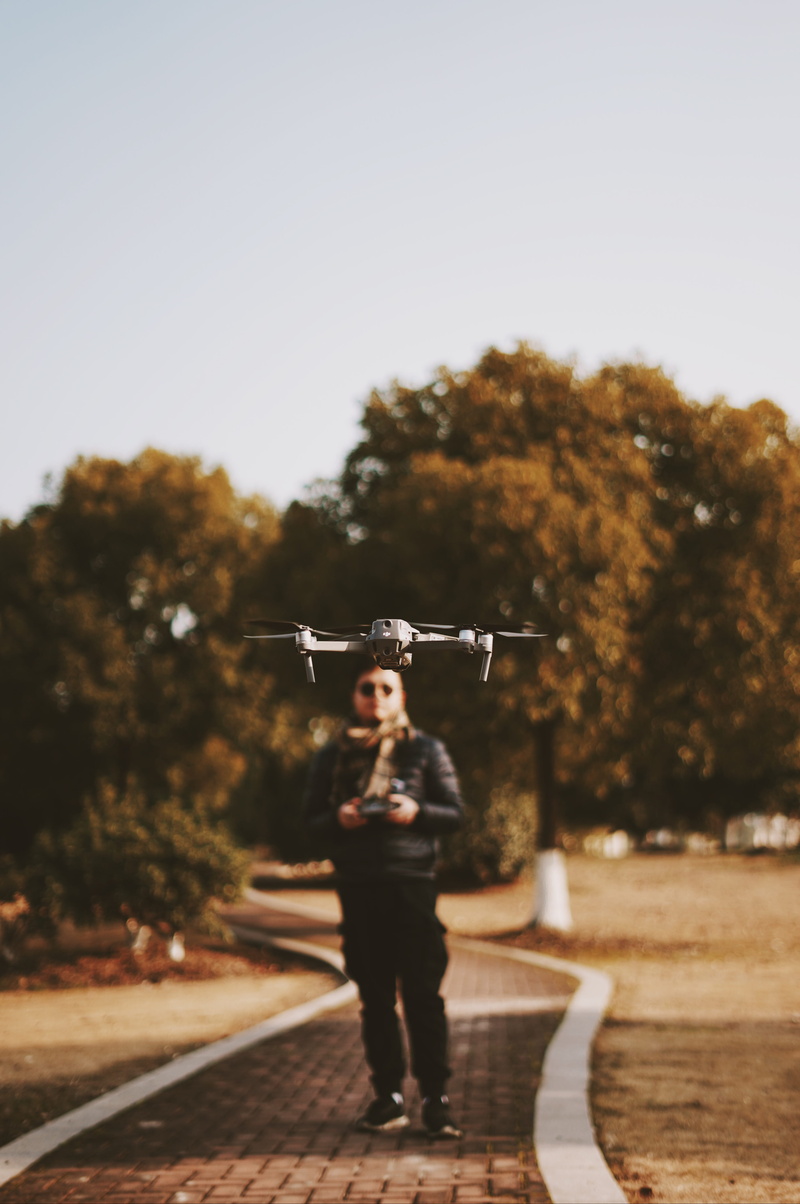 bird, drone, nature, vehicle, airplane, airport, flying, man, transportation, rail transportation, lifestyles, plant, full length, person, clothing, tree