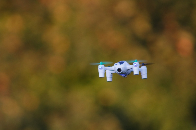 aircraft, canary, tree, drone, accipiter, animal, day, 4K, bee eater, toy, motion, sunlight, no people, white, land, flying, cardinal, biplane, machine