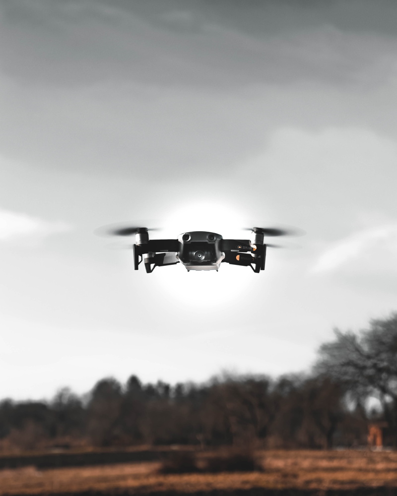 land, nature, black, transportation, warplane, kite bird, formula one, no people, overcast, air vehicle, focus on foreground, motion, drone, bird, low angle view