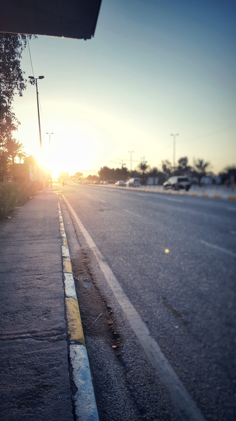 iraq, marking, road marking, road, sun, outdoors, city, sunlight, kufa, sign, tree, direction, symbol, no people, street, nature, plant, the way forward