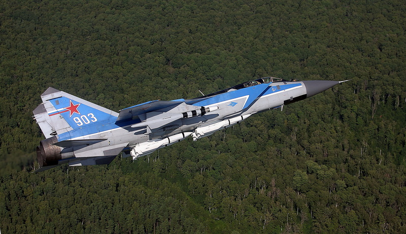 nature, silver colored, plane, air vehicle, forest, vehicle, flying, day, plant, fighter plane, transportation, side view, no people, grey, military aircraft