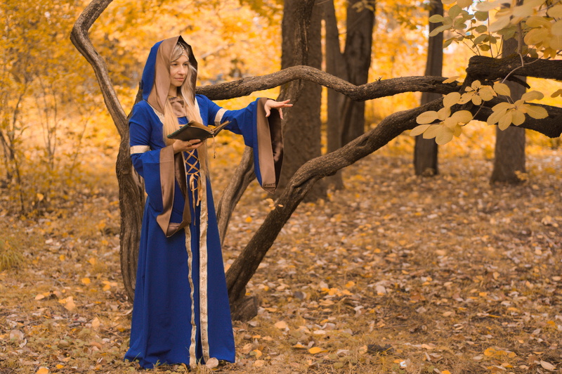 witch, hair, land, outdoors, forest, wizard, plant part, women, the middle ages, nature, clothing, young women, spell, hairstyle, cosplay, full length