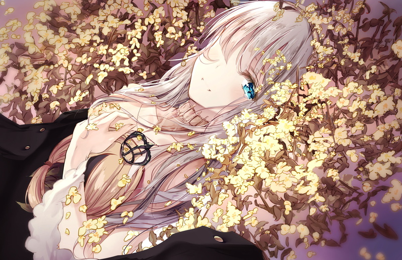 2K, Fate/Grand Order, anime girls, long hair, dress, lying on back, fallen heaven, blue eyes, white hair, anastasia (fate/grand order), looking at viewer