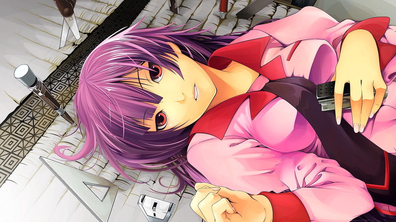 high angle view, pink color, art and craft, human representation, indoors, red eyes, no people, multi colored, Monogatari Series, purple, day, nature, fashion