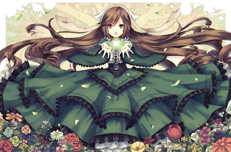 dress, hair, brown, bicolored, eyes, suiseiseki, maiden, rozen, long, 720P, flowers, lolita, fashion