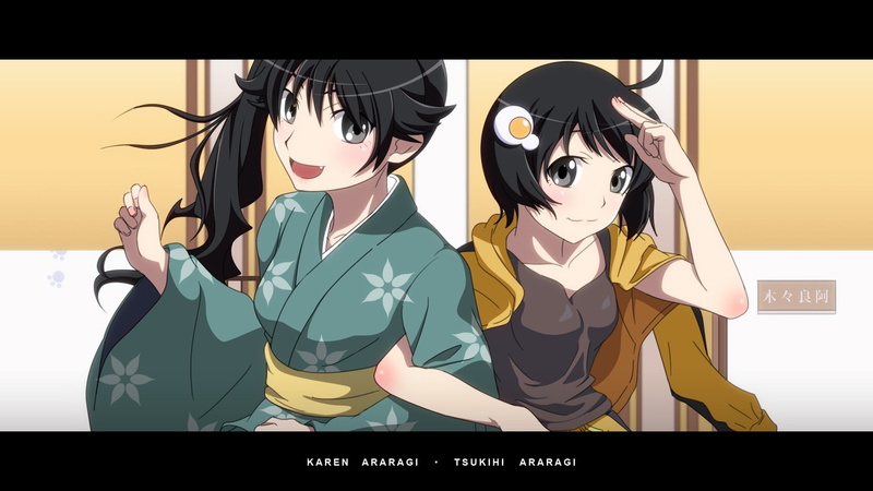 females, Araragi Karen, women, Monogatari Series, 1080P, arts culture and entertainment, men, two people, event, auto post production filter, people, young women