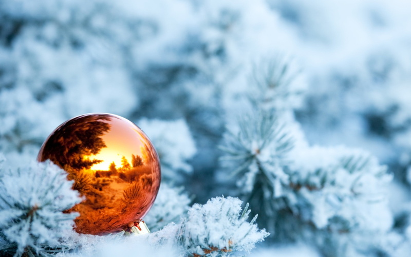 nature, focus on foreground, leaves, 2K, christmas ornament, reflection, bauble, New Year, holiday, no people, close-up, frozen, plant, depth of field