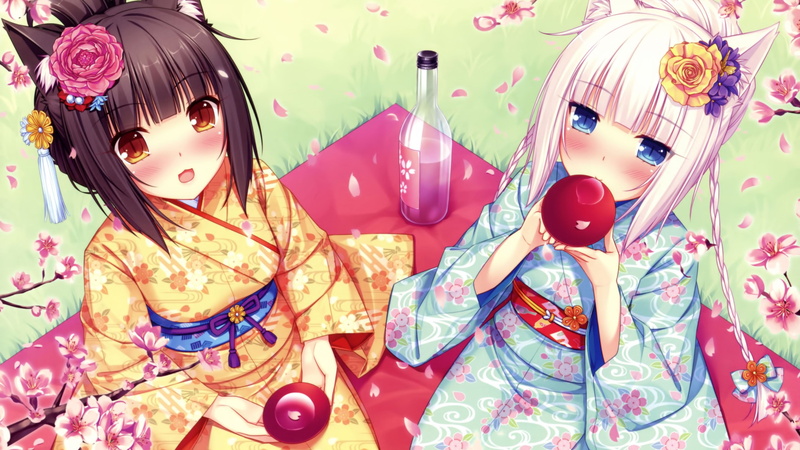 picknick, creativity, fashion, Vanilla (Neko Para), high angle view, Neko Works, retail, Neko Para, variation, floral pattern, nekomimi, human representation