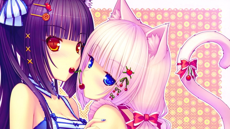 anime, 1080P, looking at viewer, anime girls, pink hair, Vanilla (Neko Para), blue eyes, Chocolat (Neko Para), Neko Para, brunette, long hair, animal ears