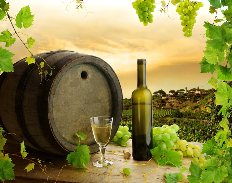 green color, bottle, grapes, container, digital, agriculture, refreshment, nature, 4K, the vineyards, red wine, wineglass, alcohol, freshness