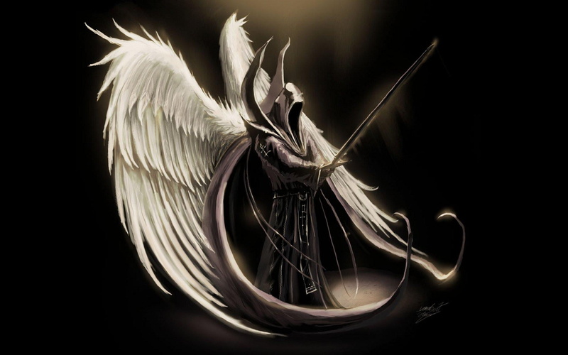 weapons, abstract, angel, 1080P, one animal, studio shot, black Background, wings, artificial Wing, metal, no people, black Color, indoors, flying, bird