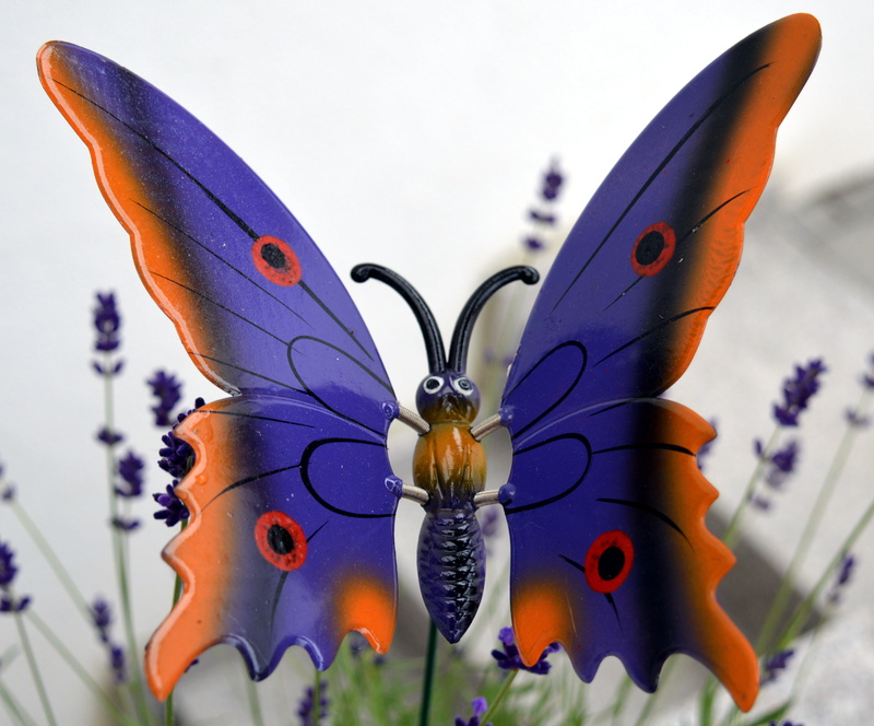 4K, one animal, flowering plant, marine, colorful, beauty in nature, no people, animal Wing, color, deco butterfly, animal themes, day, artificial, decoration
