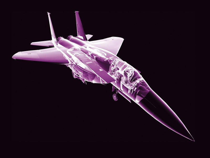 indoors, reflection, purple, single object, motion, animal, no people, studio shot, cut out, machinery, representation, animal wing, artistic, close-up