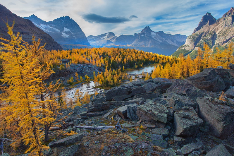 2K, nature, Autumn, clouds, forest, columbia, British Columbia, trees, mountains, sky, british, Canada, yoho, river, stones, rocks